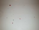img 20221102 unsh lowres